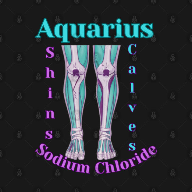Aquarius "The Shins, Calves and Circulatory System" T-Shirt