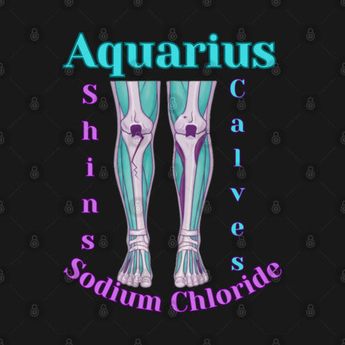 Aquarius "The Shins, Calves and Circulatory System" T-Shirt