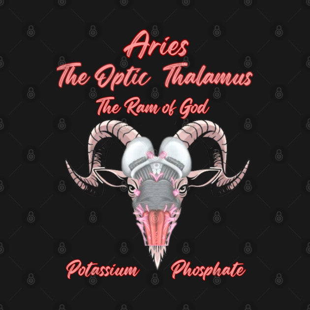 Aries "The Ram" T-Shirt