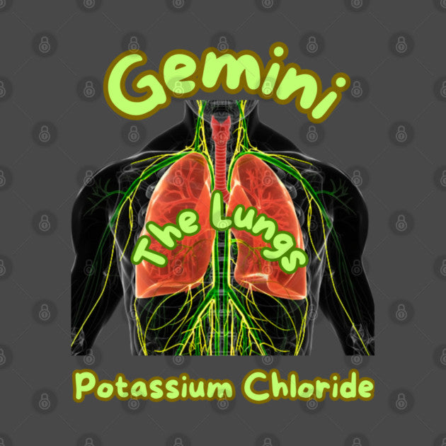 Gemini "The LUNGS" T-Shirt