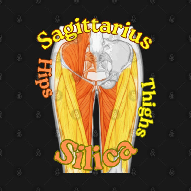 Sagittarius "The Hips & Thighs" T-Shirt
